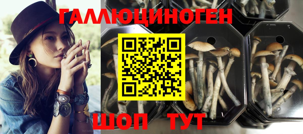 Галлюциногенные грибы мицелий Майкоп