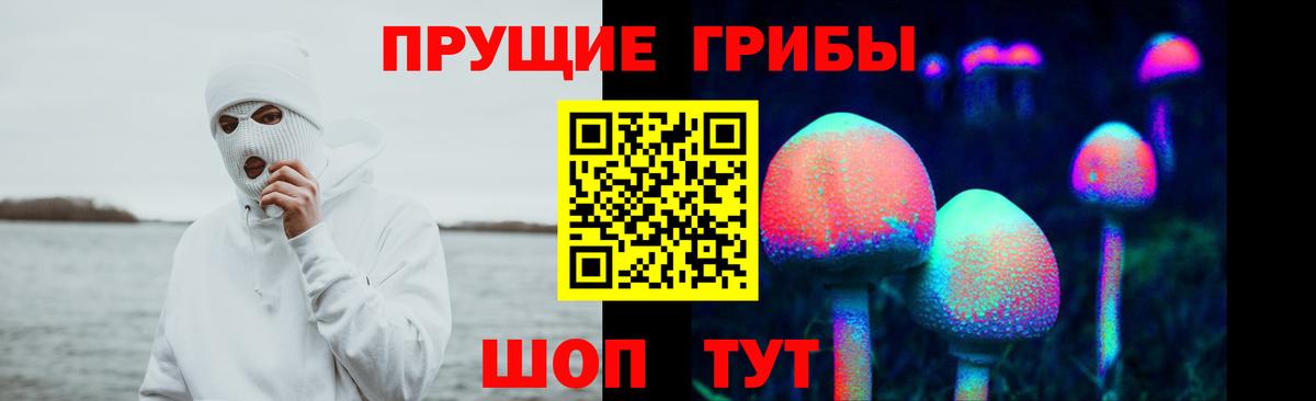 Галлюциногенные грибы Psilocybe  Вход с VPN  Майкоп 